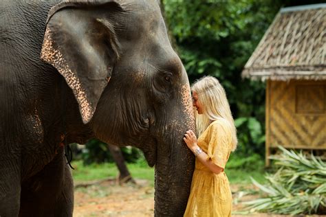 Elephants Phang Nga Thailand — Tori Artis Photography