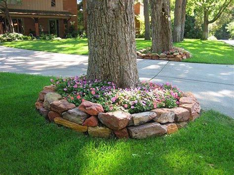 Ideas Landscaping Around Trees With Rocks Frikilo Quesea