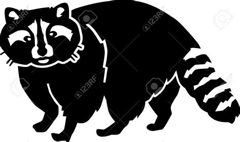 Raccoon Silhouette Royalty Free Cliparts Vectors And Stock