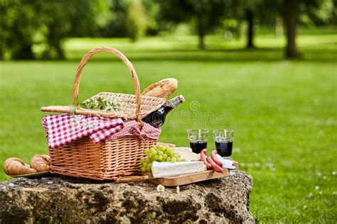 Elegant Picnic With Red Wine Cheese And Sausages Stock Photo Image