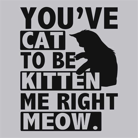 Youve Cat To Be Kitten Me Right Meow T Shirt Tees Cats Funny Mens T Shirt Textual Tees