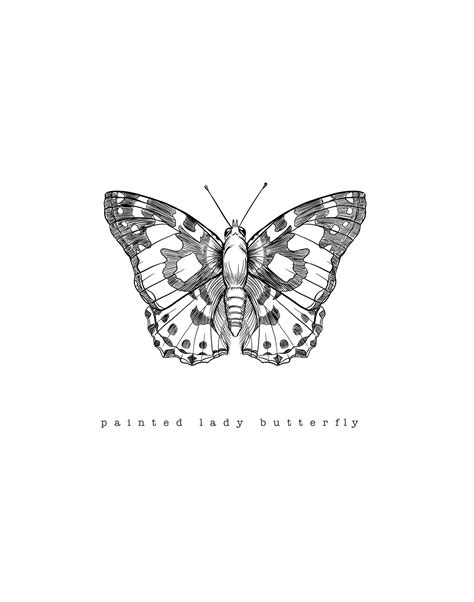 Painted Lady Butterfly Print — Brevity Art