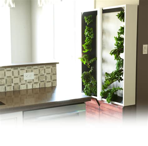 Top Indoor Vertical Garden Plants The Benefits Of A Flower Gardens