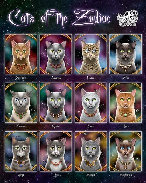 Cat Astrology Traits By Zodiac Sign Zodiac Characters Zodiac