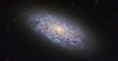 Hubble Image Of The Week Dwarf Galaxy Ngc 5949