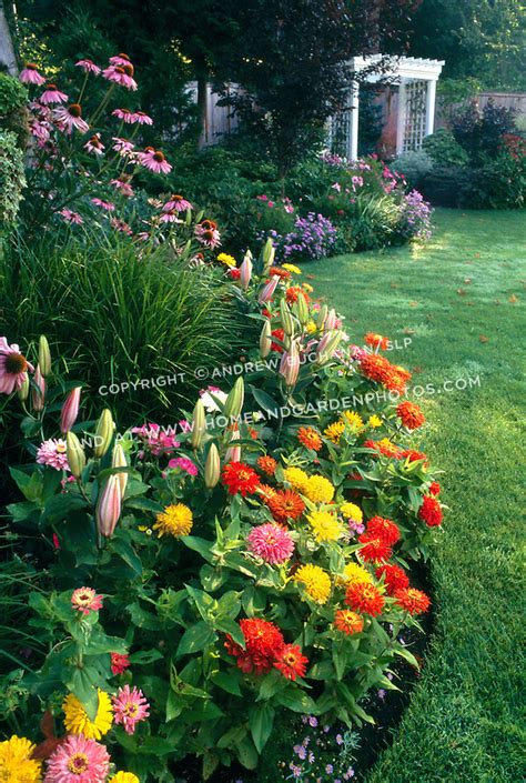 Colorful Border Of Summer Annuals At Sunrise