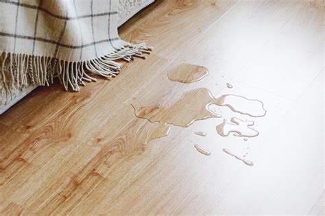 How To Remove Black Urine Stains From Hardwood Floors Answered