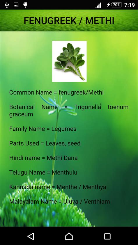 Medicinal Plants And Its Uses For Android Apk Download