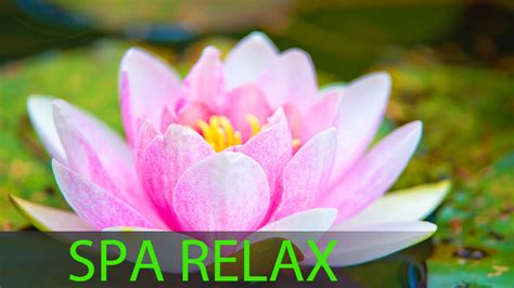 6 Hour Super Relaxing Spa Music Meditation Music Massage Music Relaxation Music Soothing ☯
