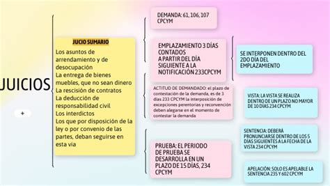 Cuadro SinÓptico Juicios