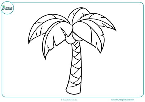 Dibujo De Palmera 4 Para Colorear Dibujos Para Colore