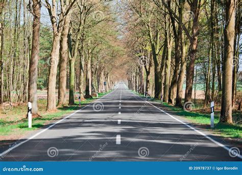 Country Road Lined With Trees Stock Image Image Of Motion Mountain