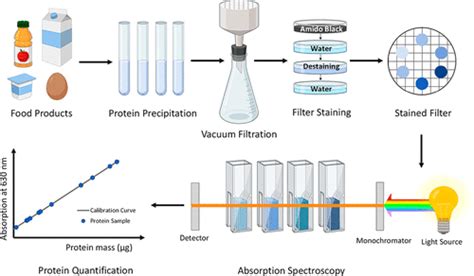 Protein Quantification In Complex Matrices Journal Of Chemical Education