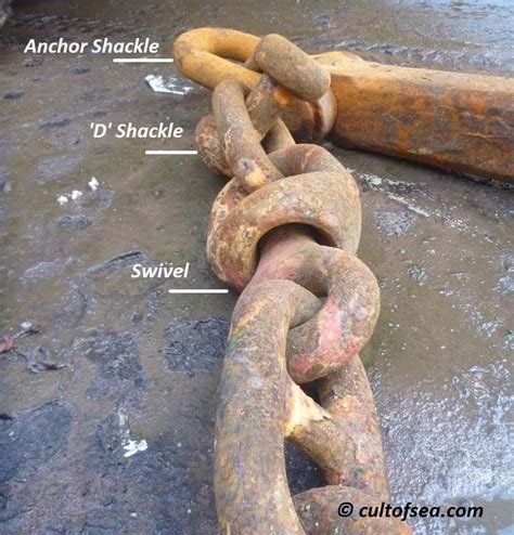 Anchor Chain Stripper Naked Photo Comments