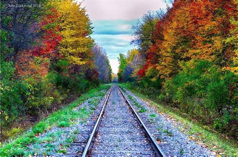 Colorful Railway Railroad Railway Autumn Nature Photos Scenery