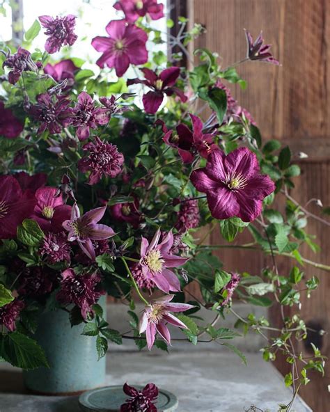 Clematis On Clematis On Clematis Phot Wedding Bouquets Wedding Flowers Large Scale Floral