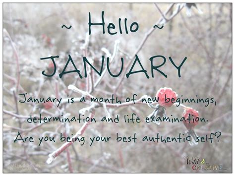 Hello January Hello January Quotes January Quotes