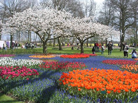 Keukenhof The Netherlands Most Beautiful Gardens Beautiful Gardens
