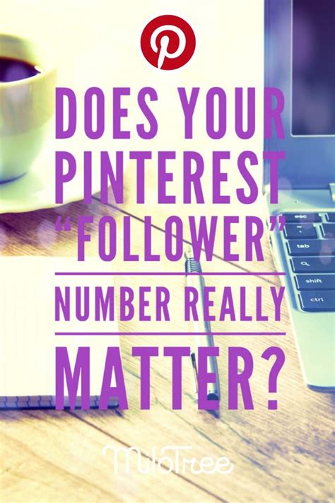 Does Your Pinterest Follower Number Really Matter Milotree Pinterest Followers Pinterest