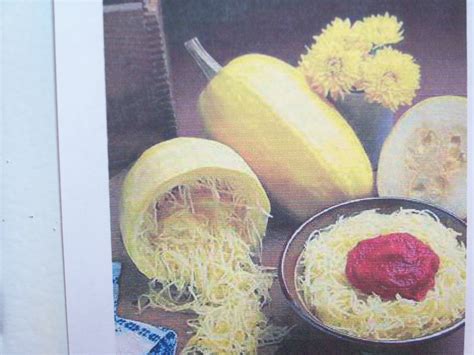 We did not find results for: Spaghetti Squash ( How To Grow ) | Garden The Easy Way