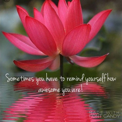 Maybe you would like to learn more about one of these? Pin by Kandice Jones on MOTIVATION ♥ | Lotus flower quote, Flower quotes, Yoga quotes
