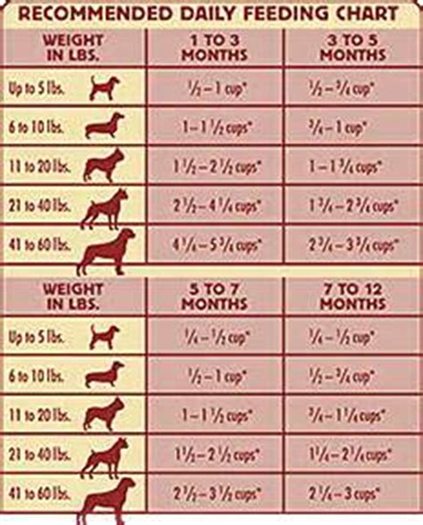 Maybe you would like to learn more about one of these? Proper Diet For My Dog | Dog.DogLuxuryBeds.com