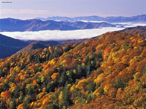 Great Smoky Mountains Wallpapers Top Free Great Smoky Mountains