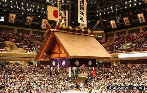 12 điều ít Biết Về Sumo Nhật Bản Những Võ Sĩ Trăm Ký
