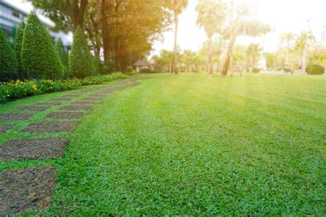 From fertilisers, pest control and weed treatments to expert advice on lawn care and equipment, we've got you covered across all things turf. The 50 Best Lawn Care Products of 2019 - Family Living Today