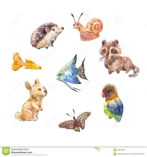 Set Of Cute Little Wild Animals Watercolor Drawings Stock Illustration Illustration Of