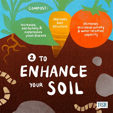 Infographics Compost For A Better Planet Institute For Local Self