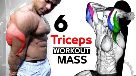 Best Triceps Exercise For Mass 6 Effective Exercises تمارين الترايسبس Youtube