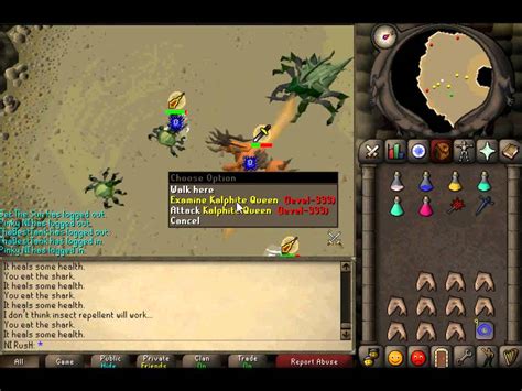 The kalphite queen, along with dust devils and smoke devils, is notable for dropping the dragon chainbody. Runescape Kalphite Queen Ironman Guide