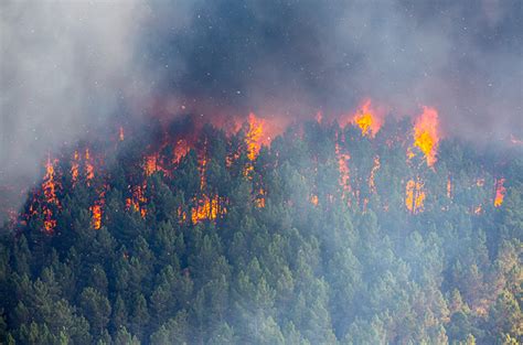 Gangguan Pernapasan Yang Disebabkan Asap Kebakaran Hutan