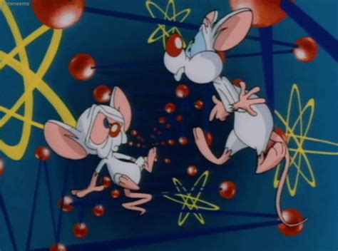 Kapri really does do it all and loves every minute of her nastiness. Animaniacs gif 11 » GIF Images Download