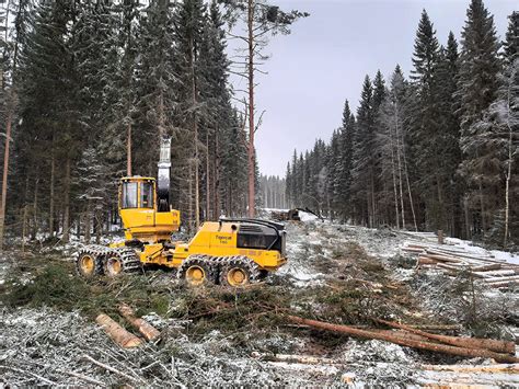 Cut To Length Sweden Between The Branches Tigercat