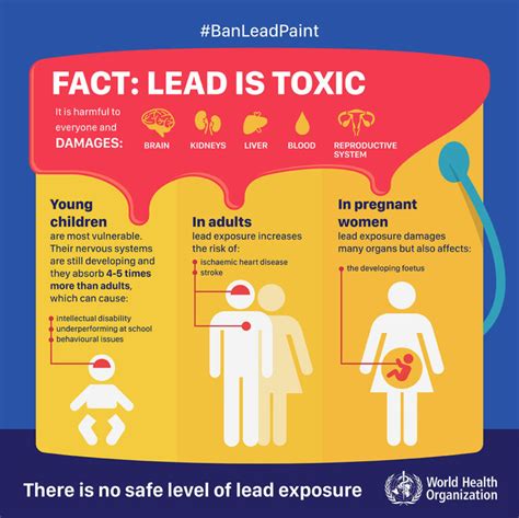 Lead Poisoning Nursing Care Planning And Management