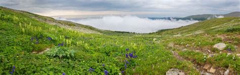Beautiful Summer Panorama Of The Top Of Altai Krai Mountains Stock