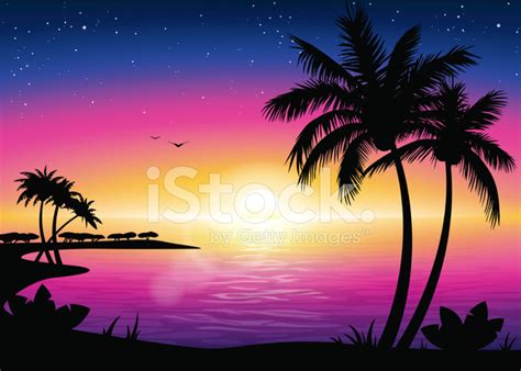 Sunset Beach Landscape With Palm Tree Silhouette Stock