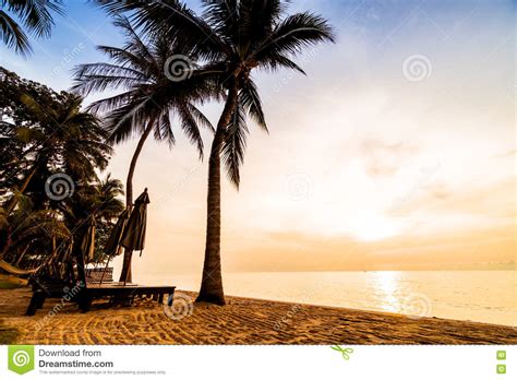 Beautiful Coconut Palm Tree On The Beach And Sea Stock Photo Image Of