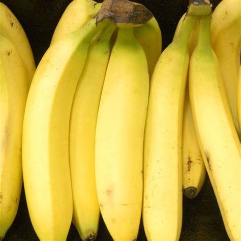 Gm Bananas To Aid Fight Against African Vitamin A Deficit Nutrition