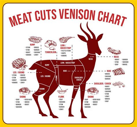 Guide To Venison Cuts The Sausage Maker