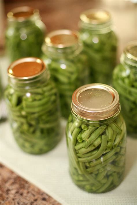 Green bean baby food ingredients. Canning Green Beans | Can green beans, Baby food recipes ...