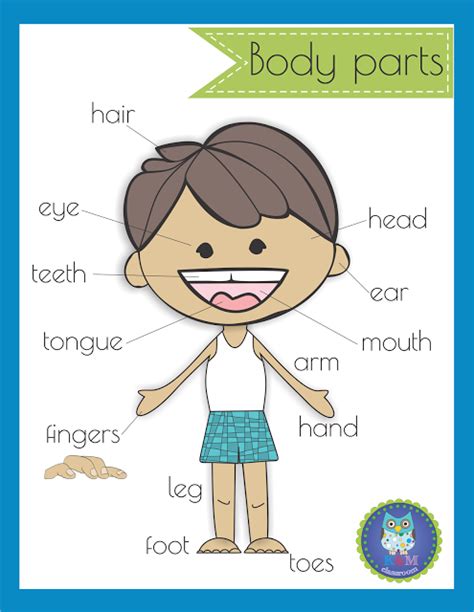 Free Printable Body Parts Poster
