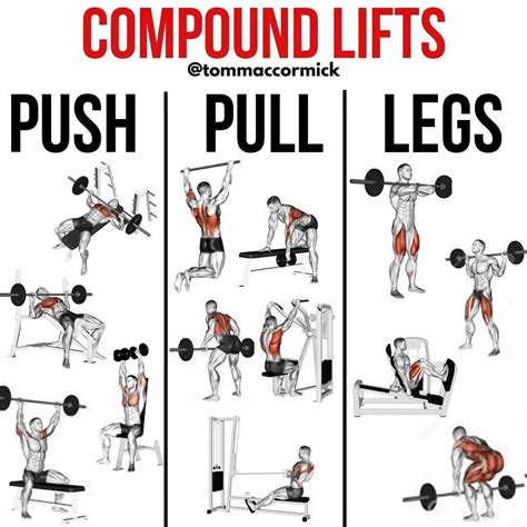 √ Compound Lifts Exercises