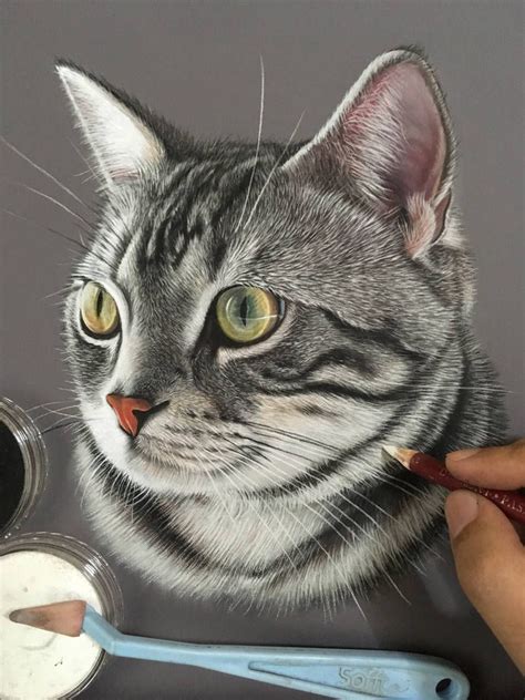 Hyewon The Cat By Ivanhooart On Deviantart Realistic Cat Drawing