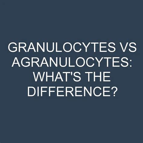 Granulocytes Vs Agranulocytes Whats The Difference Differencess
