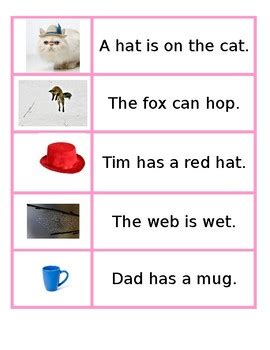 Consonant combination + short vowel + consonant combination such as, cat, mud, bed, pin, and pot. Pink Series CVC Sentence Matching by Montessori Garden | TpT