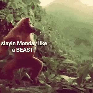 It S Monday Gifs Find Share On Giphy