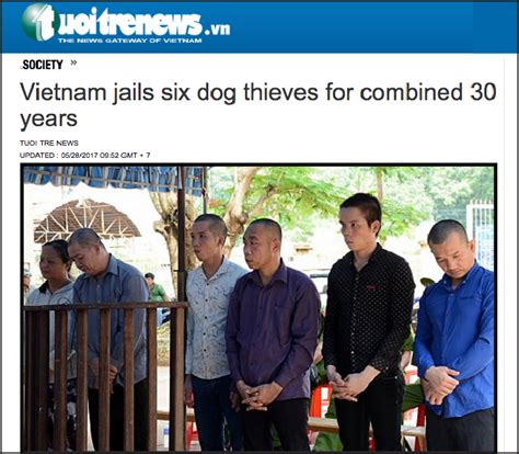 First Dog Thieves Jailed After Vietnamese Law Change